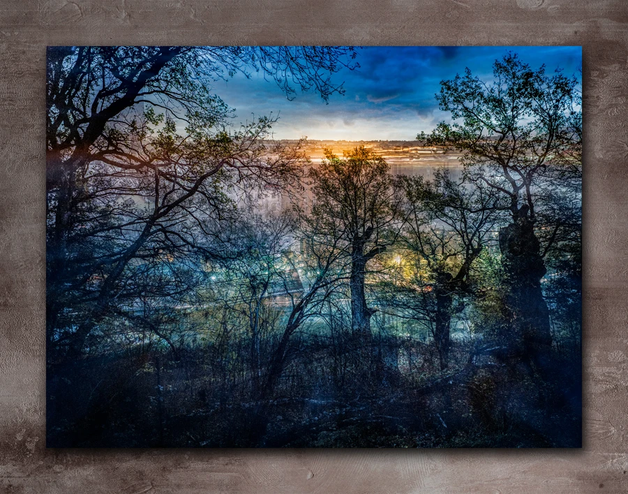 The Artwork Trädgård by the artist Johan Töpel