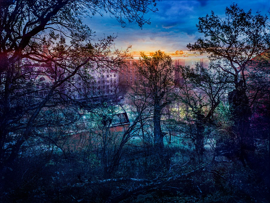 Trädgård av Johan Töpel